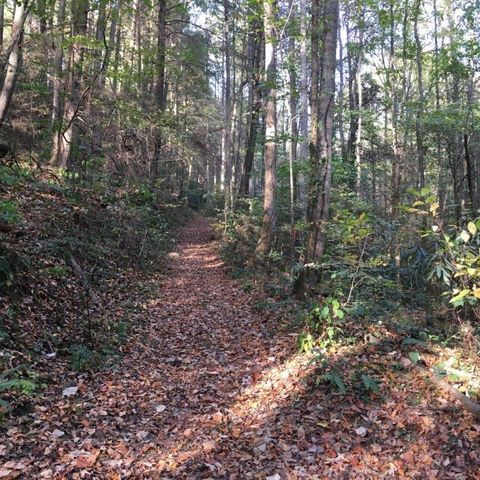 Lot 2 Laurel Overlook Road, Ellijay, GA 30540