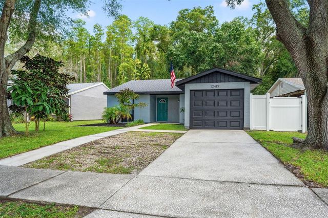 12419 HIDDEN BROOK DRIVE, Tampa, FL 33624