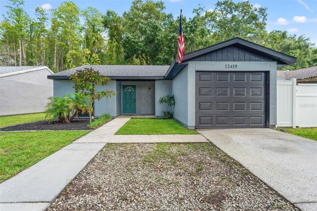 12419 HIDDEN BROOK DRIVE, Tampa, FL 33624
