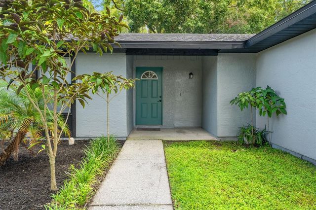 12419 HIDDEN BROOK DRIVE, Tampa, FL 33624