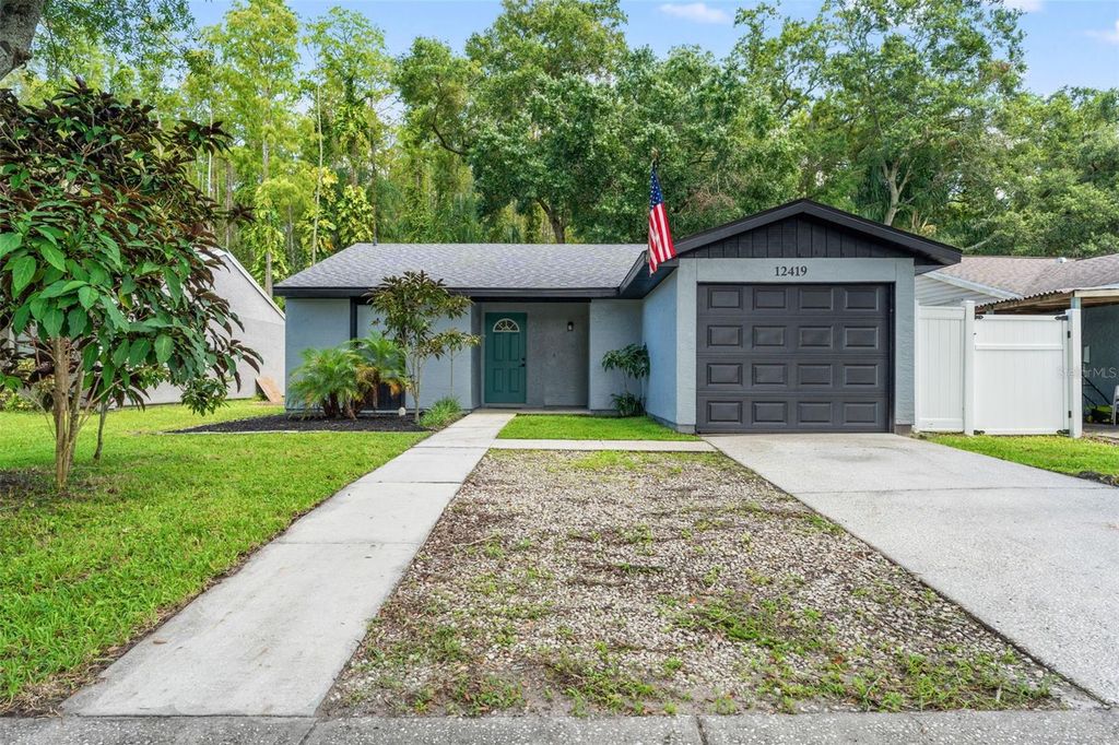 12419 HIDDEN BROOK DRIVE, Tampa, FL 33624