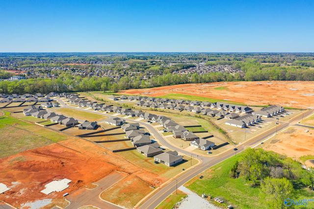 153 Virtue Way, Harvest, AL 35749