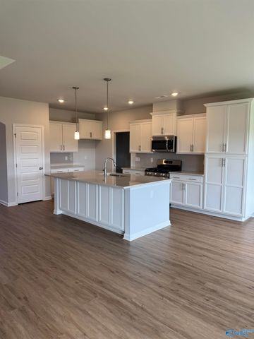 153 Virtue Way, Harvest, AL 35749