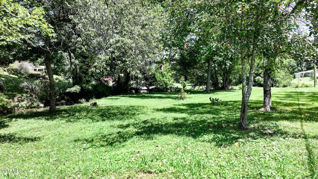 950 Middle Creek Road, Afton, TN 37616