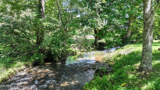 950 Middle Creek Road, Afton, TN 37616