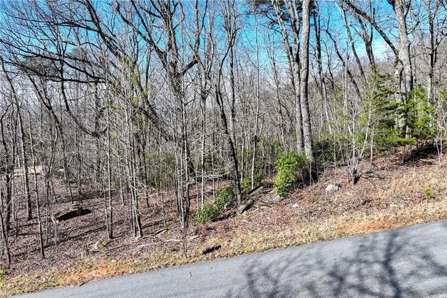 Lot 23 Long Mountain Trail, Cleveland, GA 30528