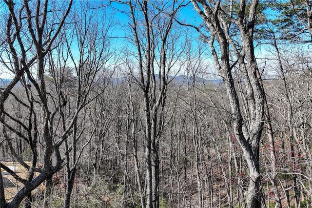 Lot 23 Long Mountain Trail, Cleveland, GA 30528