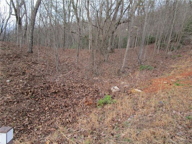 Lot 23 Long Mountain Trail, Cleveland, GA 30528