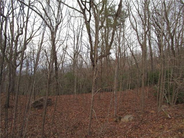 Lot 23 Long Mountain Trail, Cleveland, GA 30528