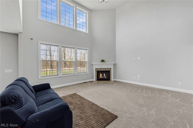 10206 Woodlands Drive, Brecksville, OH 44141