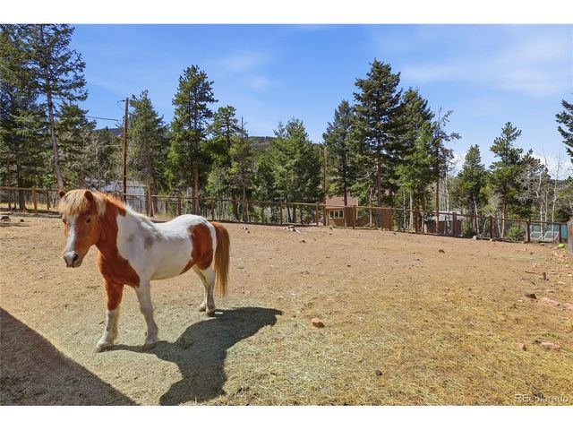 9225 Sandy Ln, Conifer, CO 80433