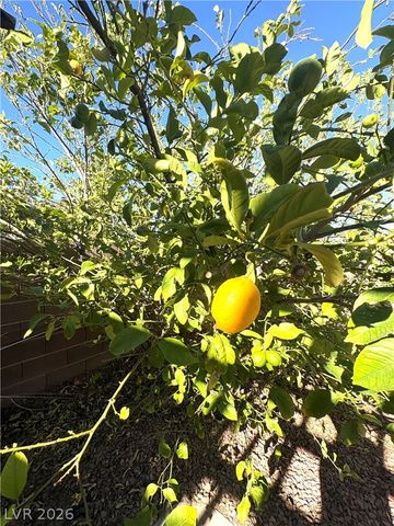 9644 Towngate Avenue, Las Vegas, NV 89129