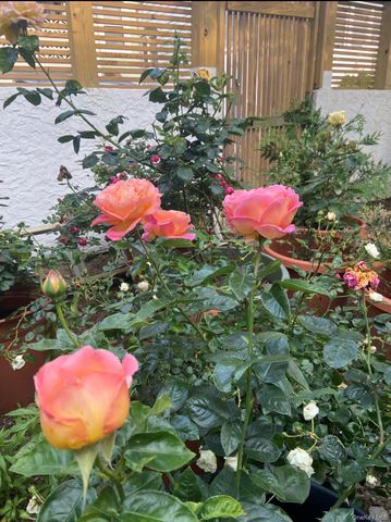 74 Brookline Avenue, Long Beach, NY 11561