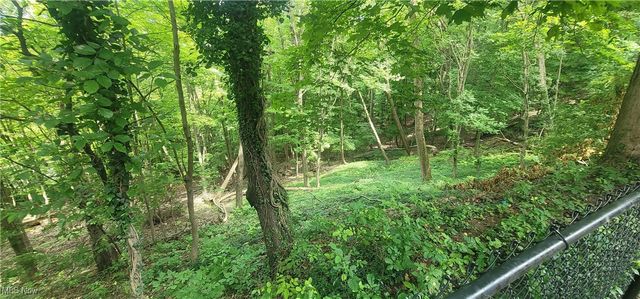 23785 Greenwood Road, Euclid, OH 44117