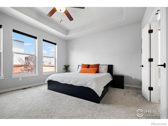 2102 Bouquet Drive, Windsor, CO 80550