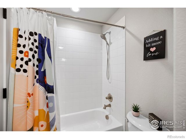 2102 Bouquet Drive, Windsor, CO 80550