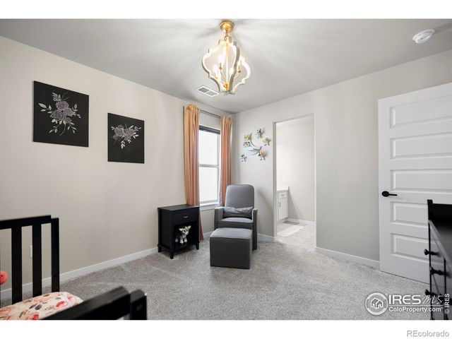 2102 Bouquet Drive, Windsor, CO 80550