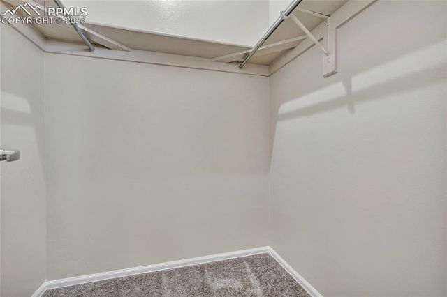 806 London Green Way, Colorado Springs, CO 80906