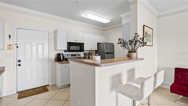 4333 BAYSIDE VILLAGE DRIVE 320, Tampa, FL 33615