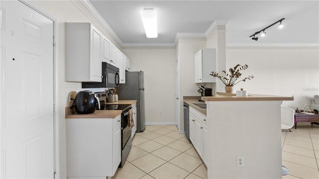 4333 BAYSIDE VILLAGE DRIVE 320, Tampa, FL 33615