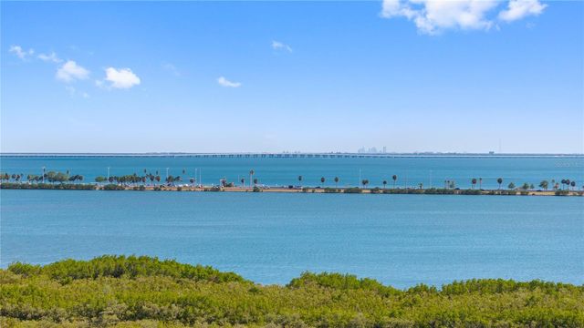 4333 BAYSIDE VILLAGE DRIVE 320, Tampa, FL 33615