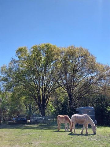 14016 N. HWY 301, Thonotosassa, FL 33592