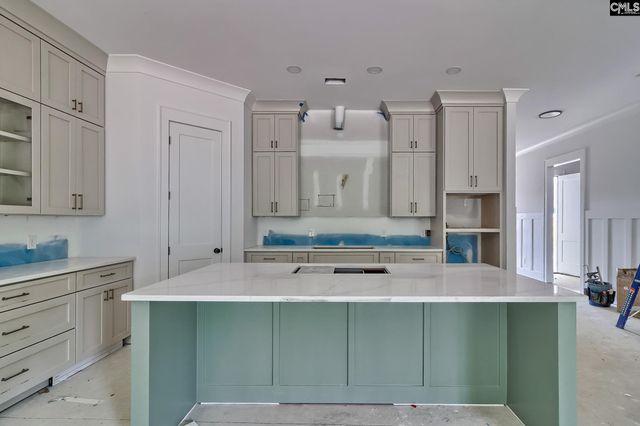 858 Elms Spinney Lane, Chapin, SC 29036