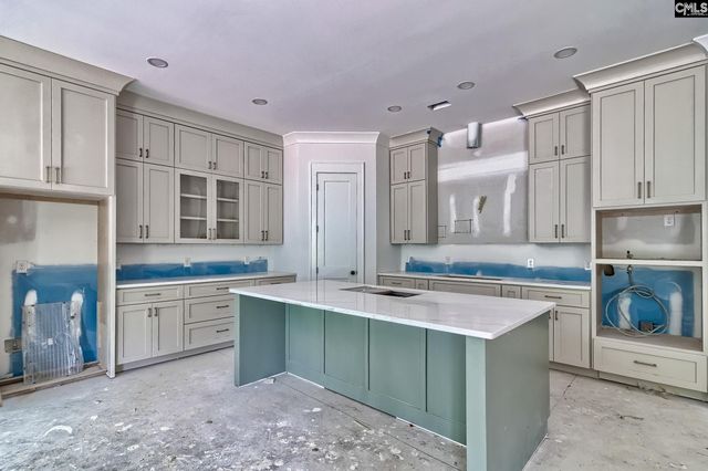 858 Elms Spinney Lane, Chapin, SC 29036