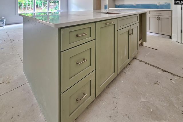 858 Elms Spinney Lane, Chapin, SC 29036