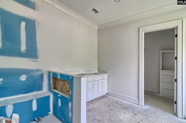 858 Elms Spinney Lane, Chapin, SC 29036