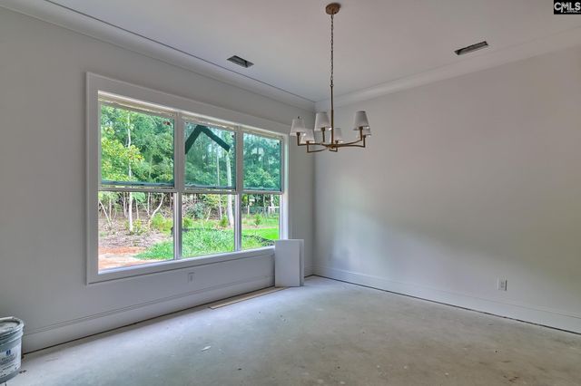 858 Elms Spinney Lane, Chapin, SC 29036