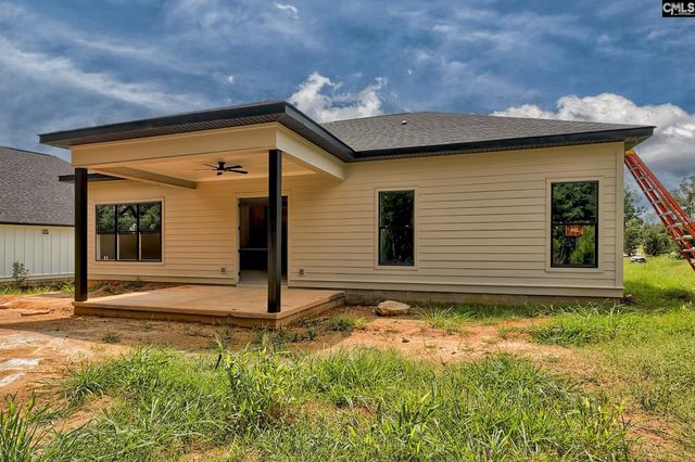 858 Elms Spinney Lane, Chapin, SC 29036