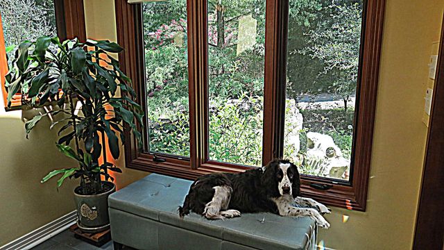 1017 Cherokee Drive, Tallahassee, FL 32301