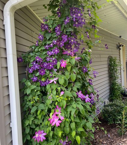 1297 Pinewood Drive, Woodbury, MN 55125