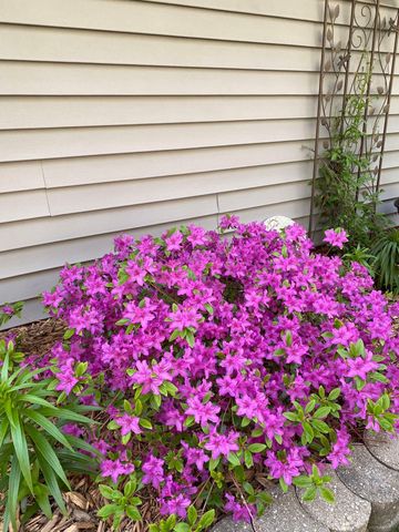 1297 Pinewood Drive, Woodbury, MN 55125