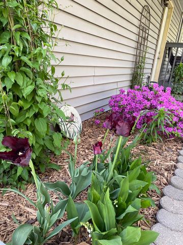 1297 Pinewood Drive, Woodbury, MN 55125