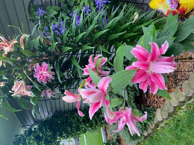 1297 Pinewood Drive, Woodbury, MN 55125