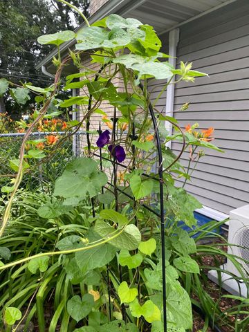 1297 Pinewood Drive, Woodbury, MN 55125