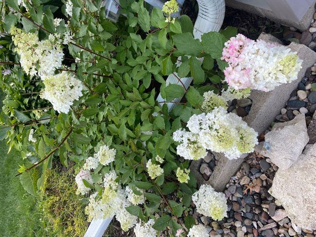 1297 Pinewood Drive, Woodbury, MN 55125