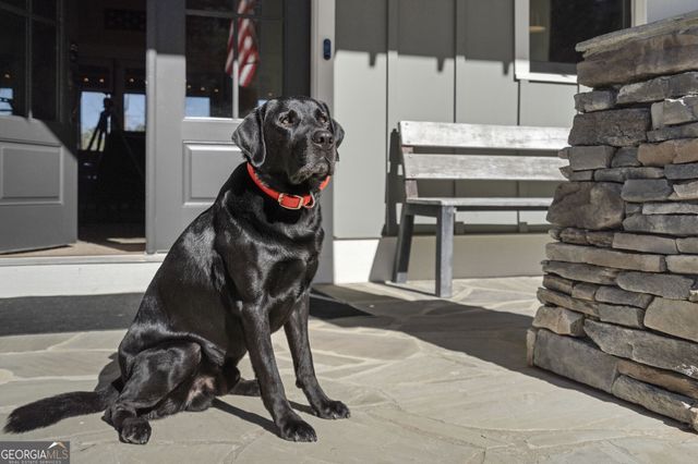 72 Buckeye Ridge, Newnan, GA 30263