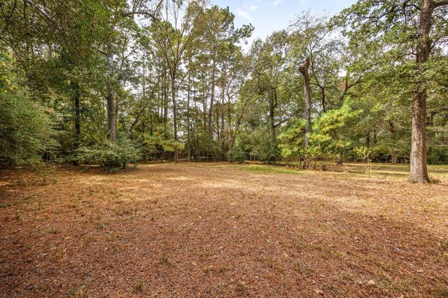 19802 Sapphire Circle, Magnolia, TX 77355