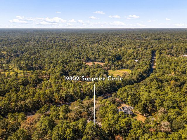 19802 Sapphire Circle, Magnolia, TX 77355