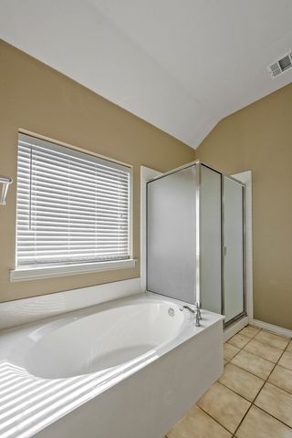 9728 Water Tree Drive, Mckinney, TX 75072