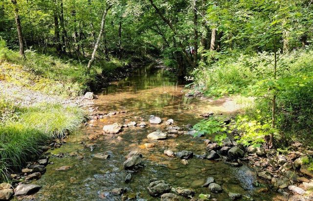 30 lodge road Road, Glenwood, AR 71943