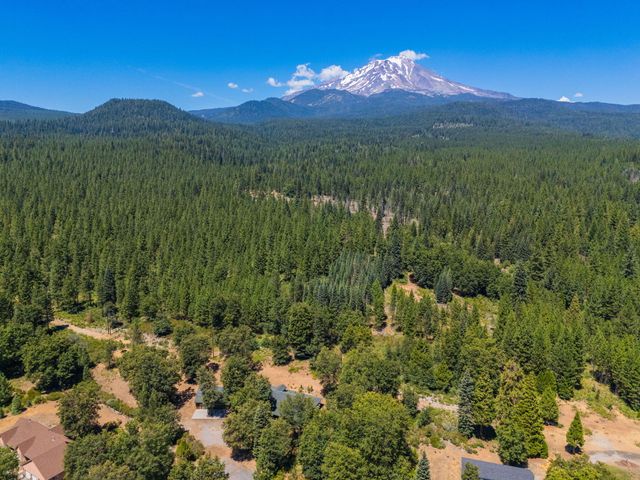 729 Dogwood Lane, Mccloud, CA 96057