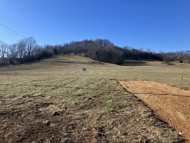 1 Pulaski Hwy, Culleoka, TN 38451