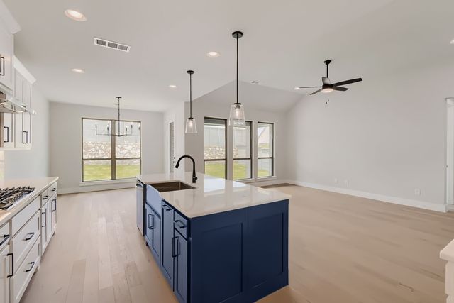 11729 Wildwood Street, Justin, TX 76247