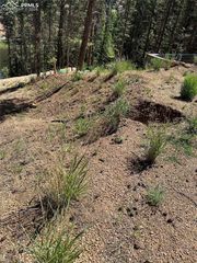 67 Gerka Lane, Florissant, CO 80816