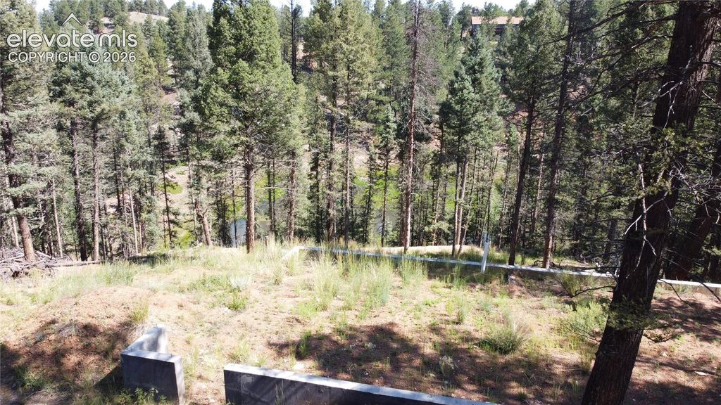 67 Gerka Lane, Florissant, CO 80816 — exterior
