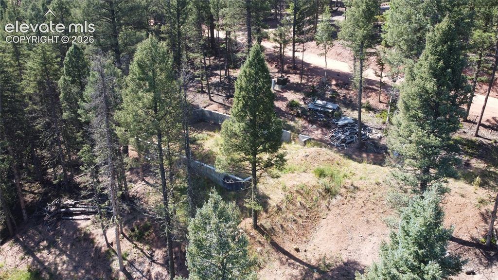 67 Gerka Lane, Florissant, CO 80816 — photo 2